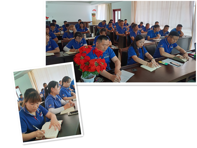 1654509632193497.jpg 5.jpg